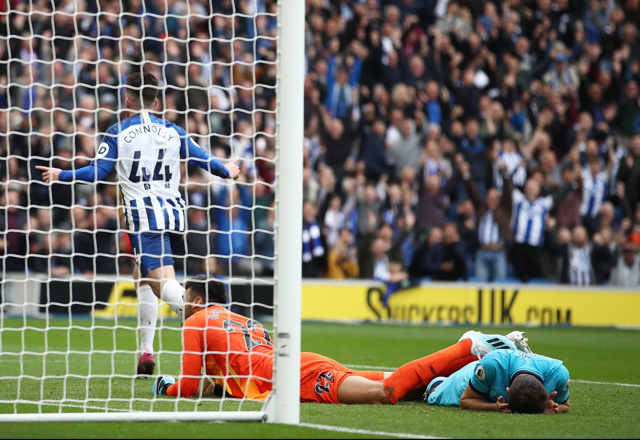 坛的年轻明 坛的年轻明